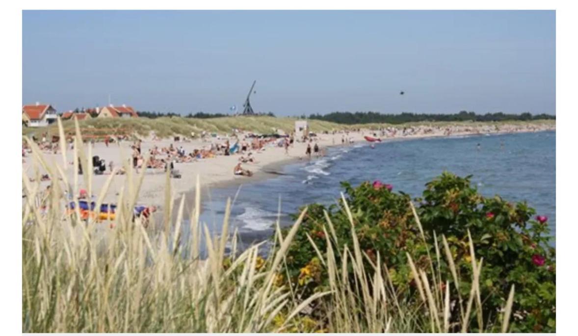 Skon Villalejlighed I Skagen Med Terrasse Og Taet Pa Centrum Buitenkant foto